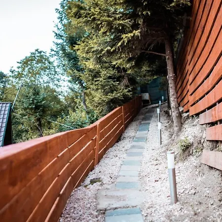 Pinewood Cabin Brasov Exterior photo