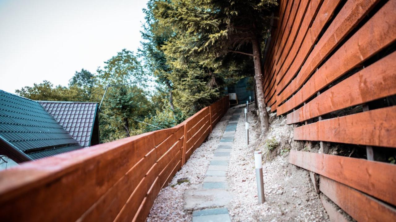Holiday home Pinewood Brasov