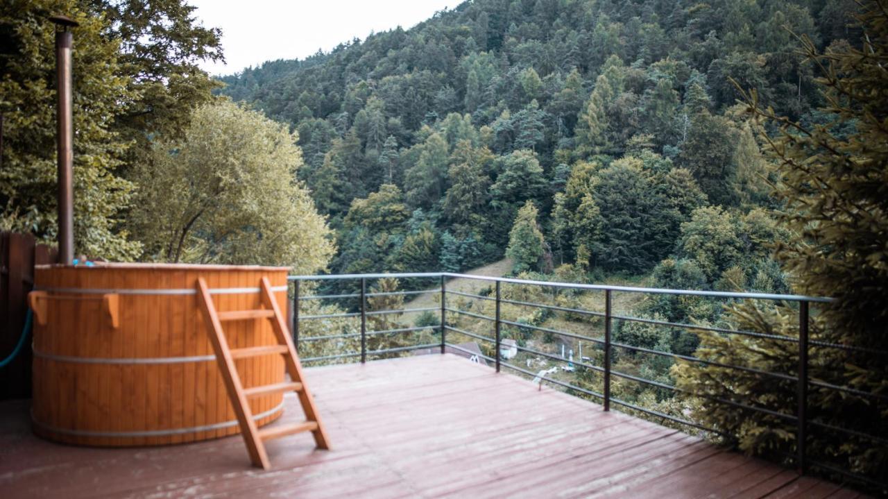 Pinewood Brasov