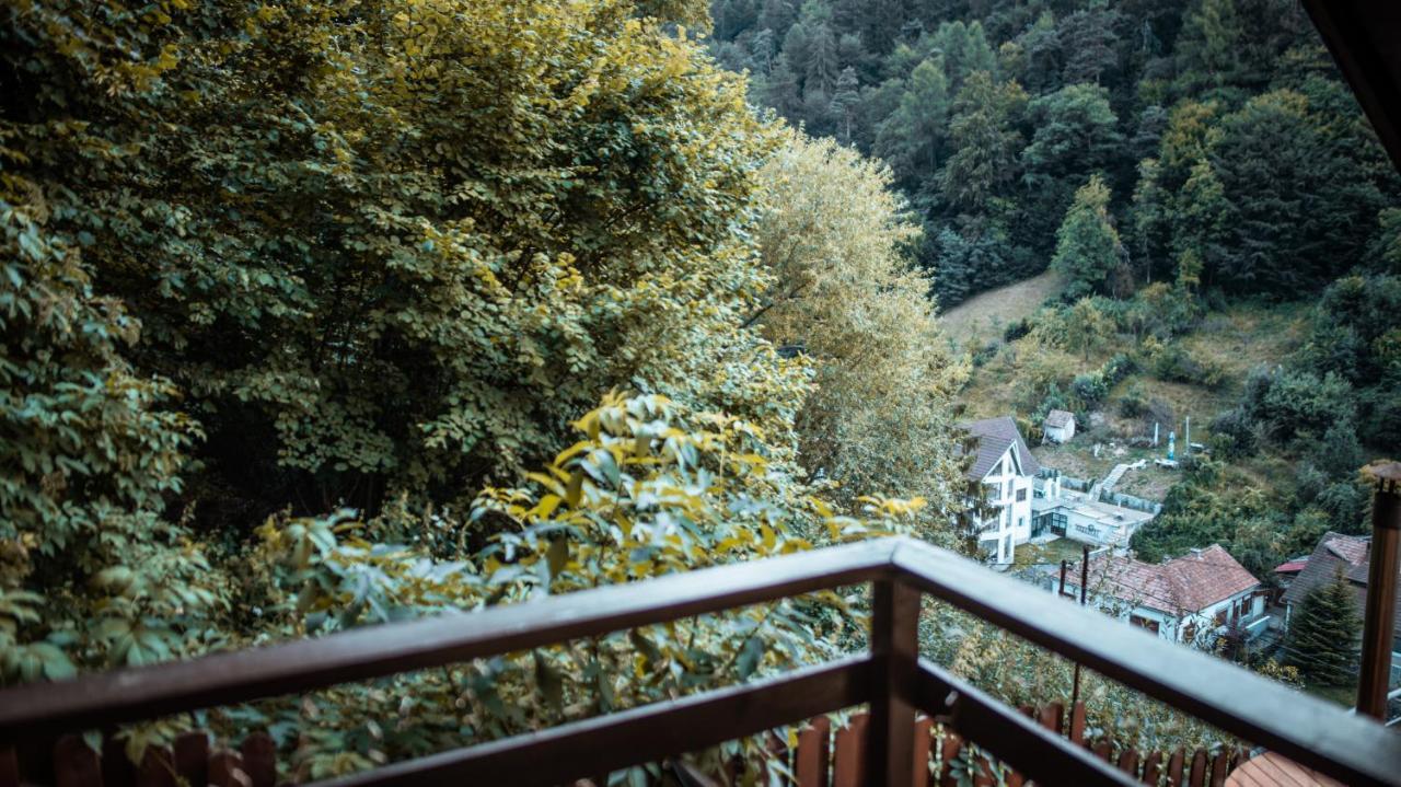 Pinewood Brasov